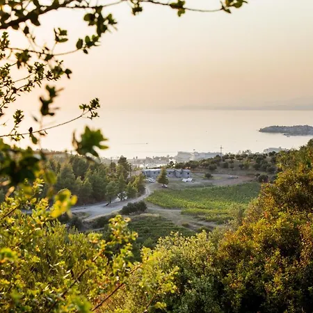 Alikon Adult-only 4*