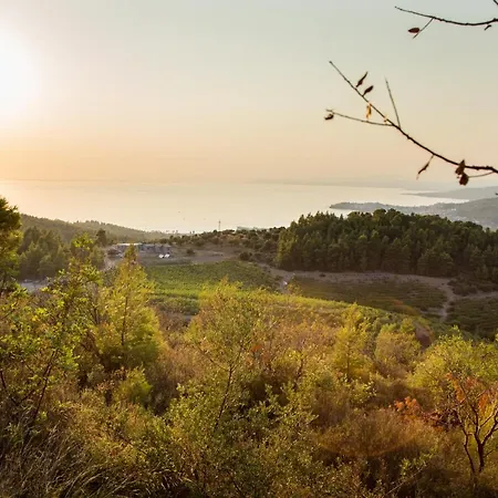 Apartahotel Alikon Adult-only Neos Marmaras